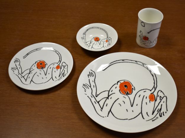 Picture of Dinnerware Set of 16 - Monkey