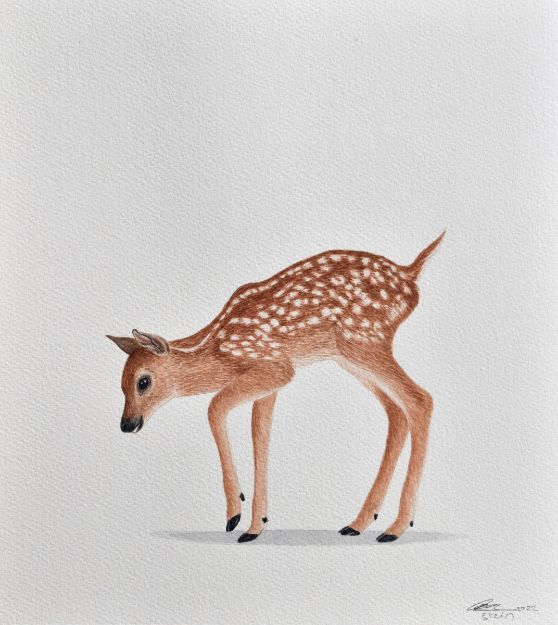 Picture of Deer Series