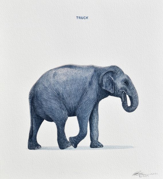 Picture of Elephant Series