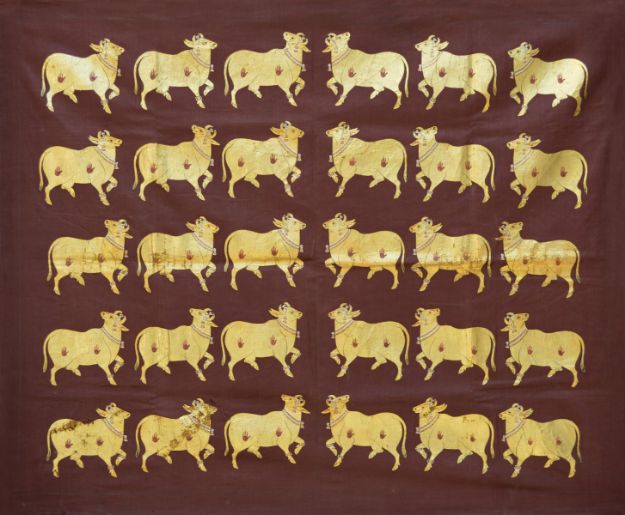 Picture of Cows Gold