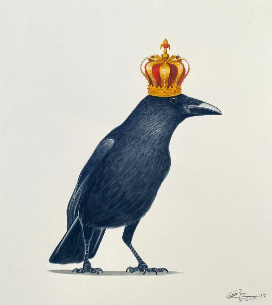 Picture of Crow Series