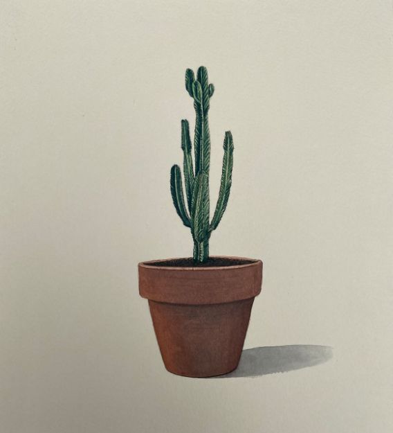 Picture of Cactus-7