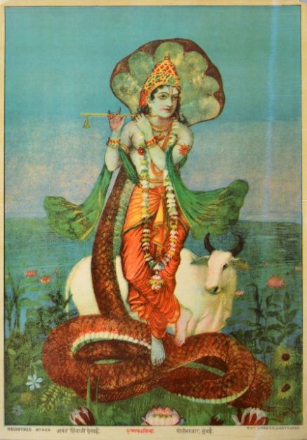 Picture of Krishna Kalia