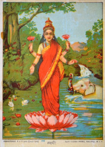 Picture of Laxmi