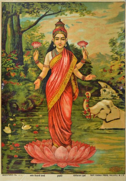 Picture of Laxmi