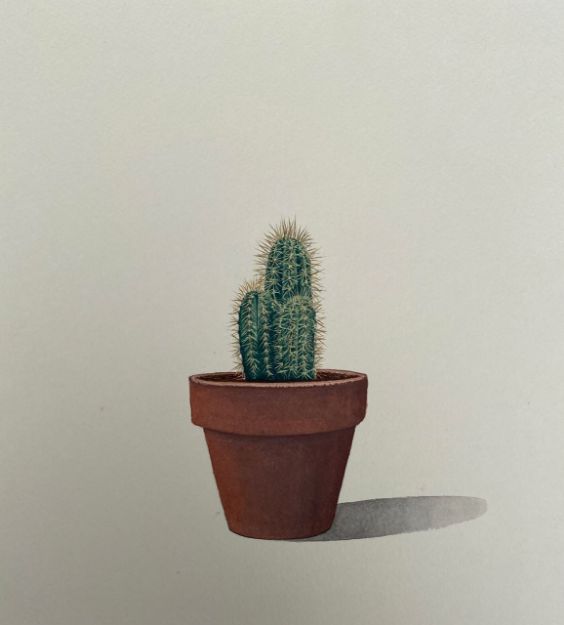 Picture of Cactus-6