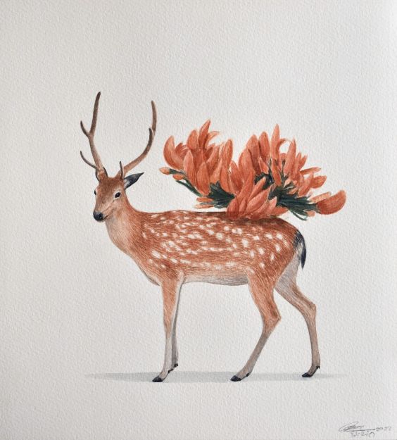 Picture of Deer Series