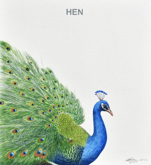 Picture of Hen