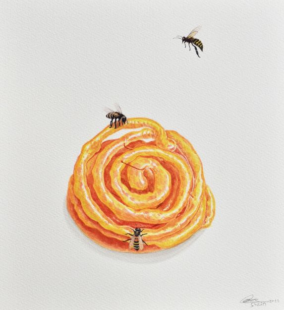 Picture of Honey Bee Series