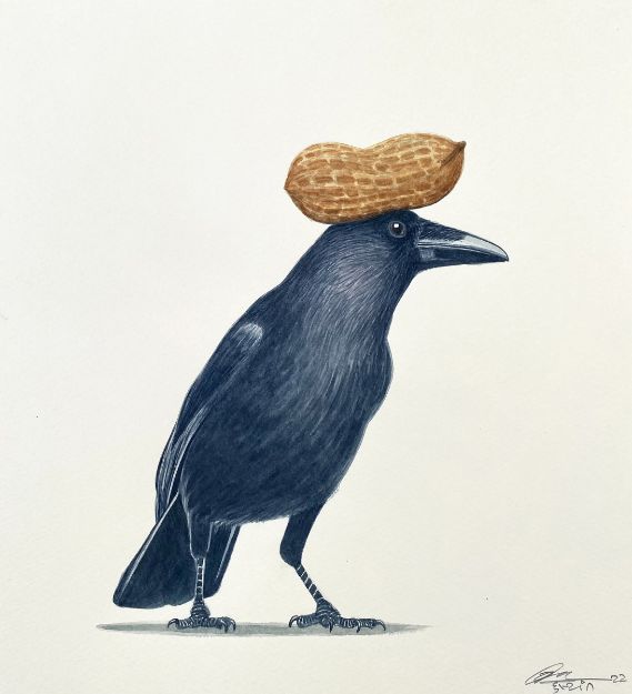 Picture of Crow Series