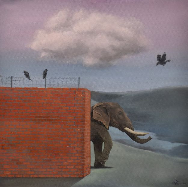 Picture of Elephant Behind the Wall