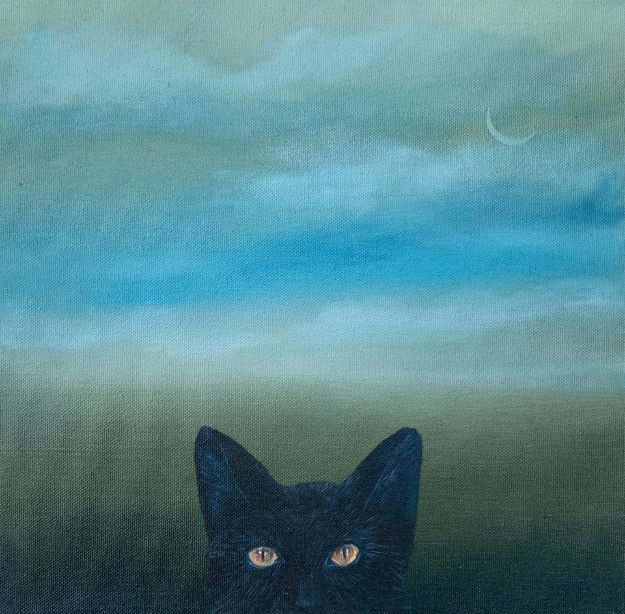 Picture of Black Cat