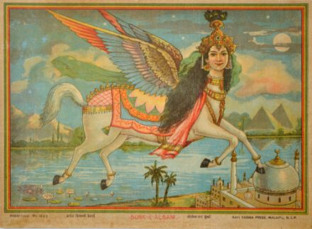 Picture of Burk-E-Albani