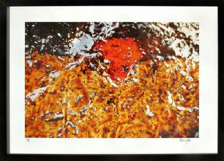 Picture of Contemplative Colour