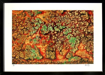 Picture of Contemplative Colour