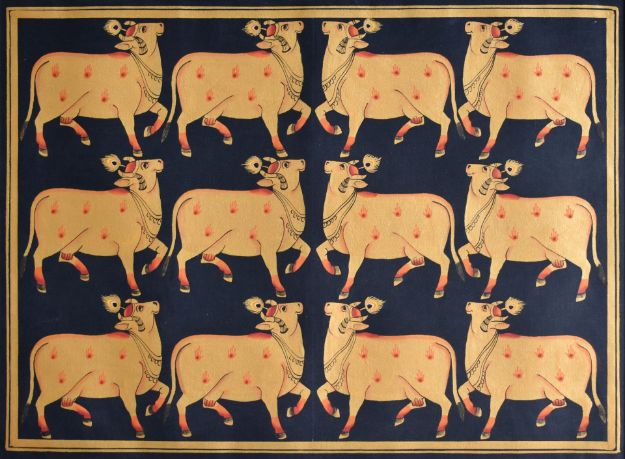 Picture of White Cows with Blue Background