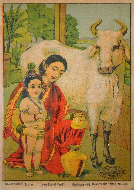 Picture of Gau Dohan