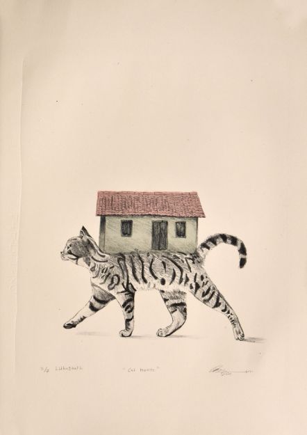 Picture of Cat House