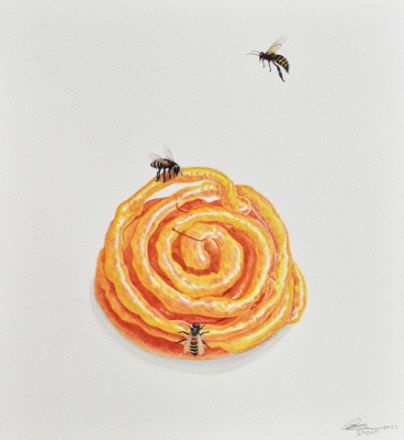 Picture of Honey Bee Series
