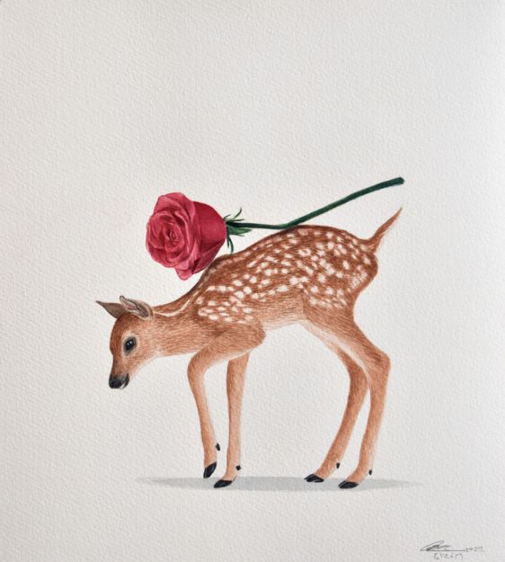 Picture of Deer Series