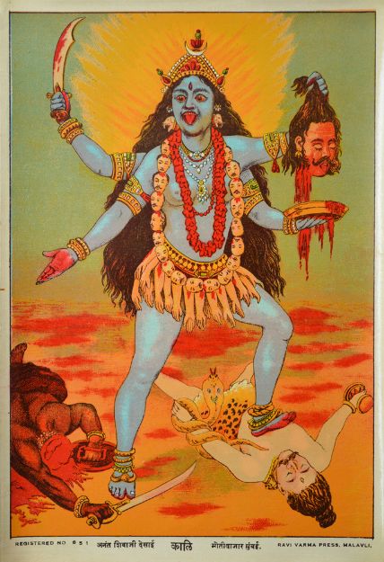 Picture of Kali