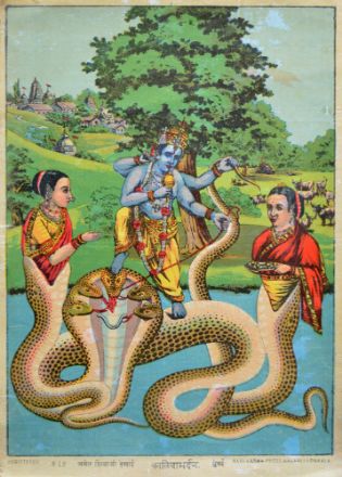 Picture of Kalia Mardan