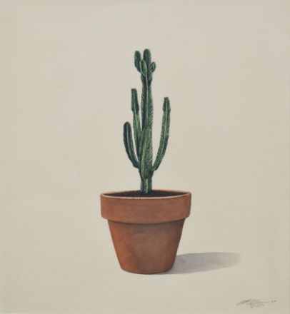 Picture of Cactus-7