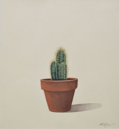Picture of Cactus-6