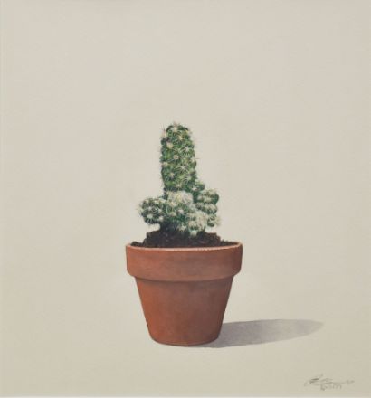 Picture of Cactus-3