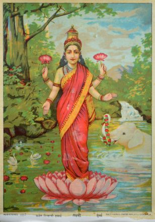 Picture of Laxmi