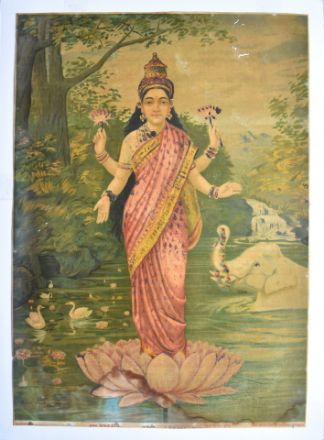 Picture of Laxmi