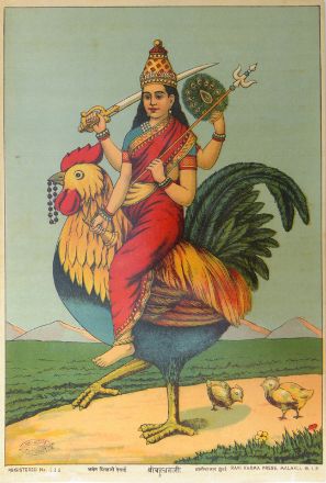 Picture of Shree Bahuchraji