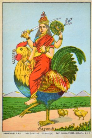 Picture of Shree Bahuchraji