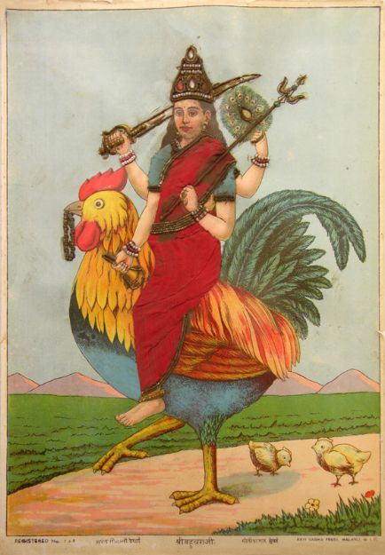 Picture of Shree Bahuchraji