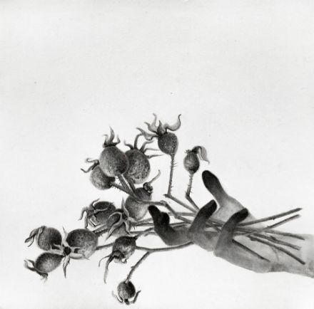 Picture of Echoes in my palm-VI