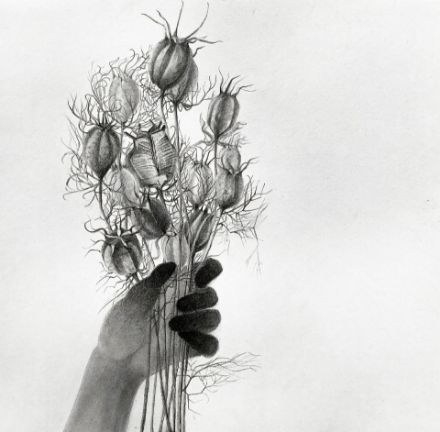 Picture of Echoes in my palm-III