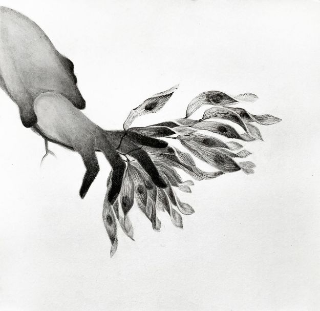 Picture of Echoes in my palm-II