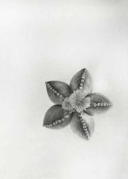 Picture of Resilient Grace-VI
