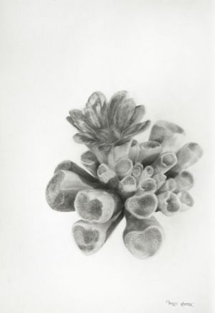 Picture of Resilient Grace-I