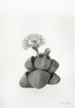 Picture of Resilient Grace-II