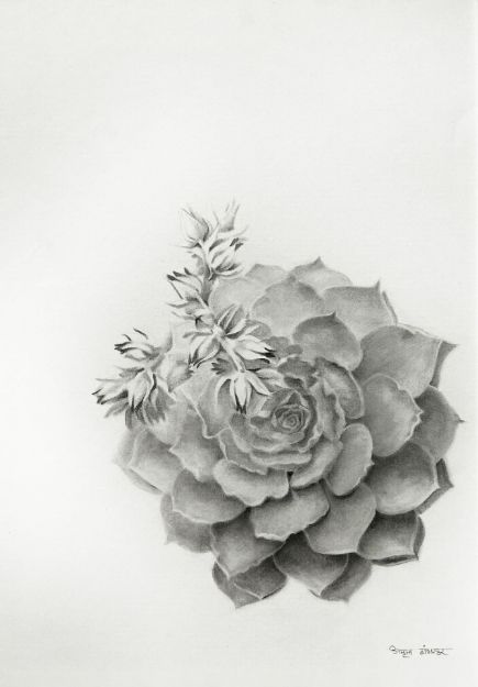 Picture of Resilient Grace-IV