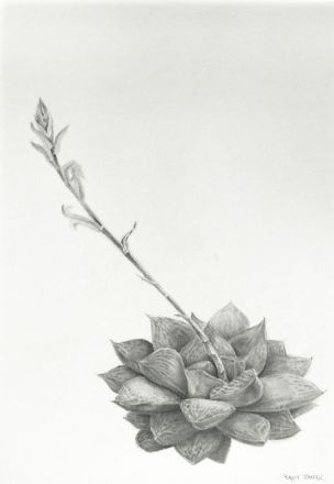 Picture of Resilient Grace-III