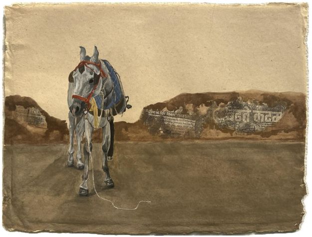 Picture of Embracing the solitude