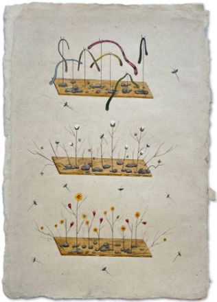 Picture of Transformation