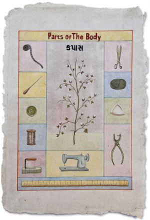 Picture of Parts of the Body