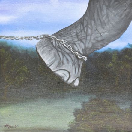 Picture of Elephant foot