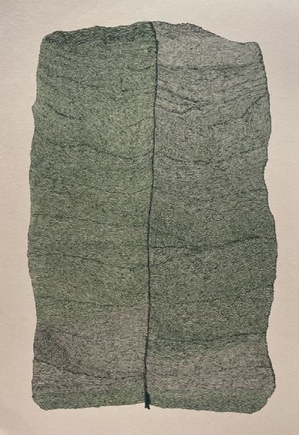 Picture of Pinna