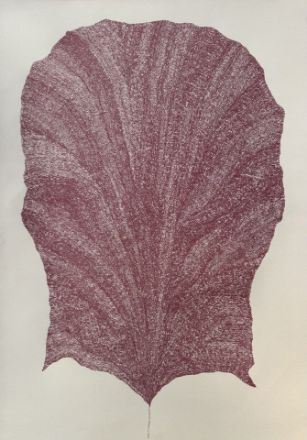 Picture of Giant Redwood