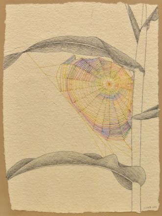 Picture of Home of spider