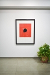 Picture of Bindu